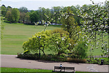 SD5328 : Avenham Park by Stephen McKay