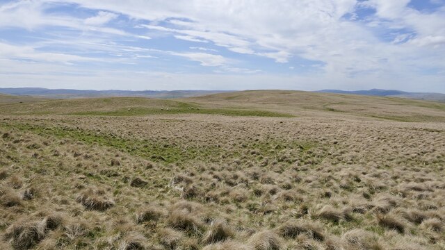 Moorland, Robert Law © Richard Webb :: Geograph Britain and Ireland