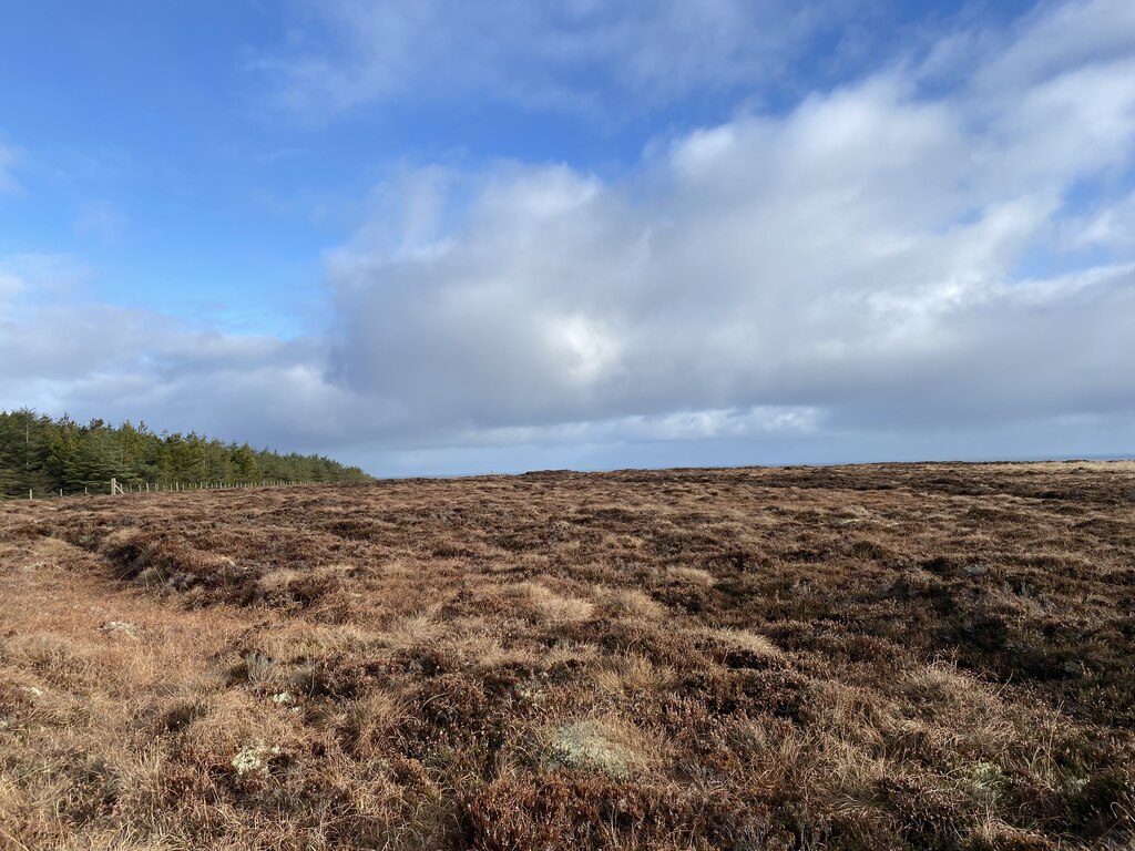 Moss of Toftcarl © thejackrustles cc-by-sa/2.0 :: Geograph Britain and ...