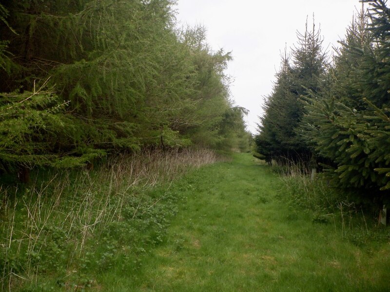 Summit, Prospect Hill © Richard Webb ccbysa/2.0 Geograph Britain