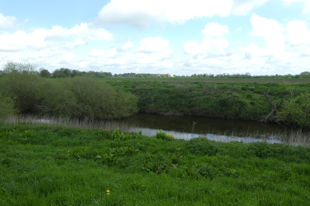 River Nidd near Holmes Hill © DS Pugh cc-by-sa/2.0 :: Geograph Britain ...