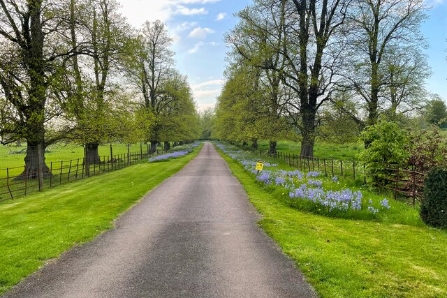 Drive up to Tyringham Hall © Philip Jeffrey cc-by-sa/2.0 :: Geograph ...