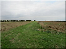 TA3423 : Field  edge  track  toward  Long  Farm by Martin Dawes