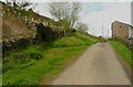 Spring Head Lane passing a trough, Marsden