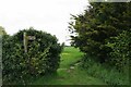 Boxted Footpath # 18