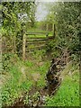 Stile on Footpath 108/4, Barkisland