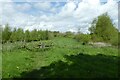 Stile on the river path