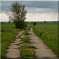 Footpath in former Sudbury Airfield, Acton