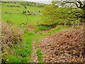 Bend on Firth House Lane, Barkisland