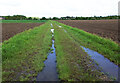 Farm Track heading west