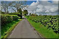 Cloudy along Woodbank Road