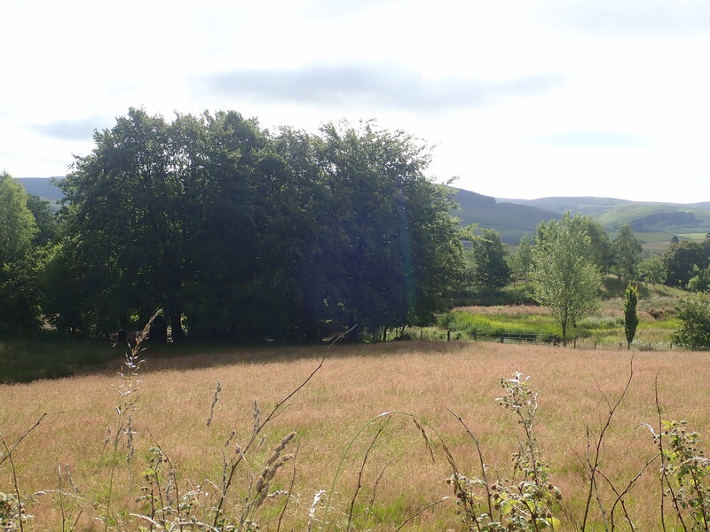 Nature Reserve Near Moffat © Eirian Evans Cc By Sa20 Geograph Britain And Ireland 