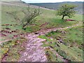 Path over stream below Mynydd Bychan