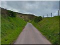 Lane towards Blaenau-Uchaf