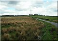 Grassland beside Harelaw Road