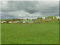 A green barn