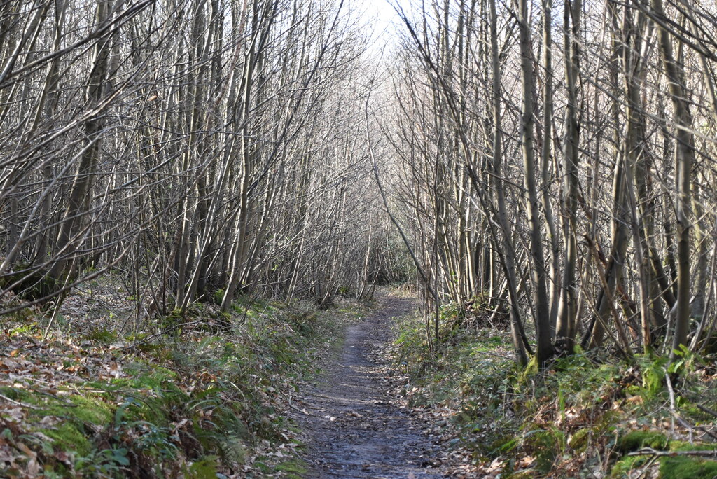 Bridleway Waste Wood N Chadwick Geograph Britain And Ireland