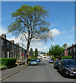 Pyenot Hall Lane, Cleckheaton