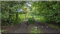 Field entrance on line of former Severn Valley Railway