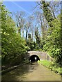 South portal of Newbold Tunnel