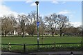 Eel Brook Common