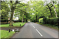 Dalefords Lane near Pettypool Wood