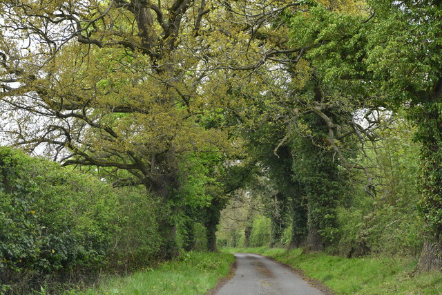 Hoe: Hoe Road © Michael Garlick :: Geograph Britain and Ireland