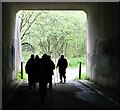 SK2998 : Walkers on the Trans Pennine Trail by Dave Pickersgill
