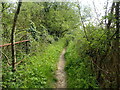 Footpath to Shelton Avenue