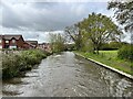 Coventry Canal