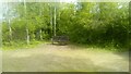 Bench in Warren Gorge woodland