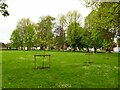 Young trees on Gawsworth Drive