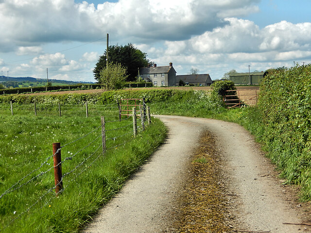 Farm Avenue