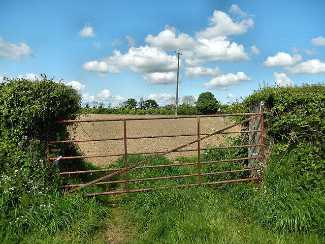 Gate and Field