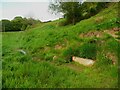 Spring next to the footpath to Jagger Green Dean, Old Lindley