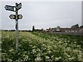 Signpost by a catchwater drain, North Hykeham