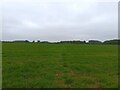 Farmland east of Brize Norton