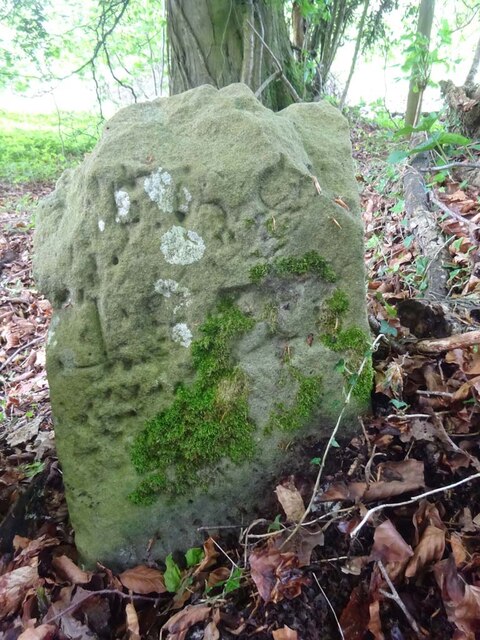 Boundary Stone, near Lambsquay Road