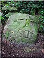 SO5809 : Boundary Stone, Bells Hotel Golf Course by Mr Red