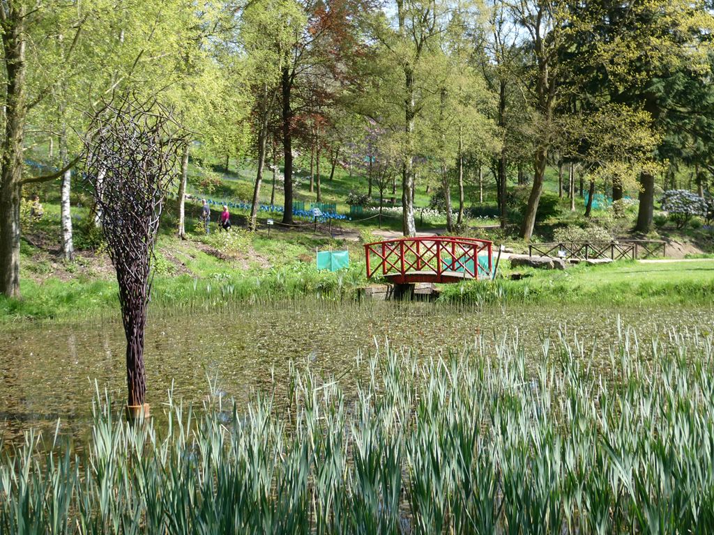 swampy-area-in-the-valley-floor-oliver-dixon-cc-by-sa-2-0-geograph