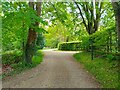 Bridleway towards Kintbury Road