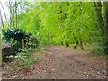 Bridleway towards Inkpen Common