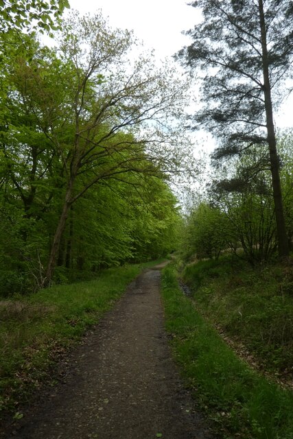 Clain Wood © DS Pugh cc-by-sa/2.0 :: Geograph Britain and Ireland