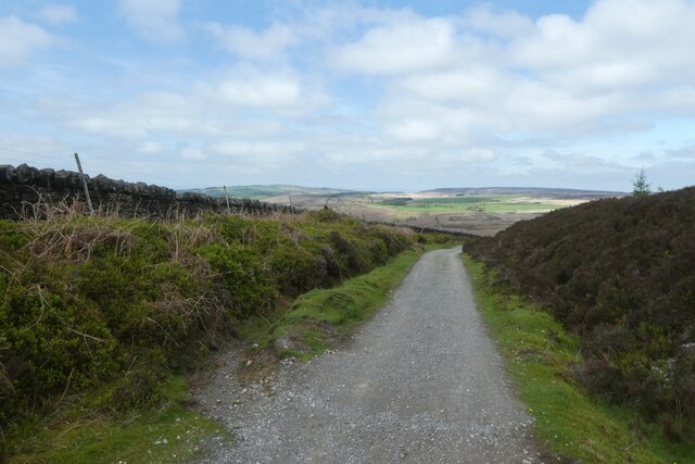 Path on Black Hill © DS Pugh :: Geograph Britain and Ireland