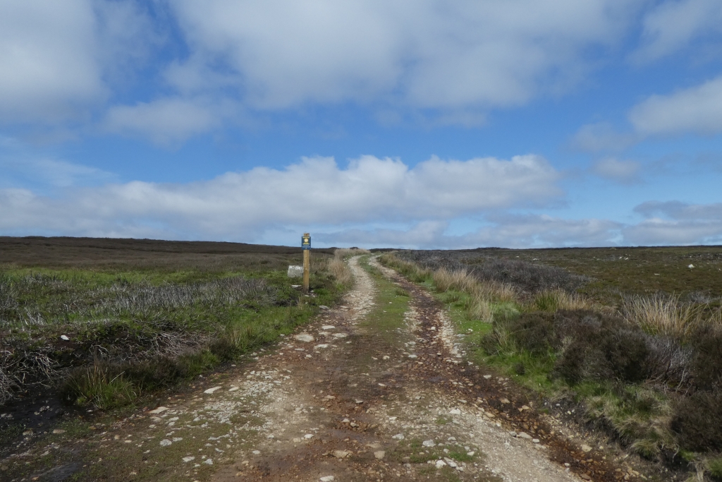 Track towards Locker Bank © DS Pugh :: Geograph Britain and Ireland