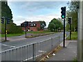 Pedestrian Crossing on the Queen