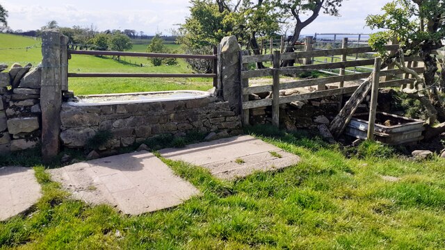 Old bath used as drinking trough in wall between fields west of Carnetley