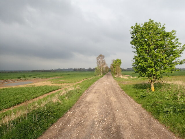 Track to Leys Farm © Marathon cc-by-sa/2.0 :: Geograph Britain and Ireland