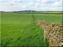 NT6240 : Farming landscape north of Fans Hill by M J Richardson