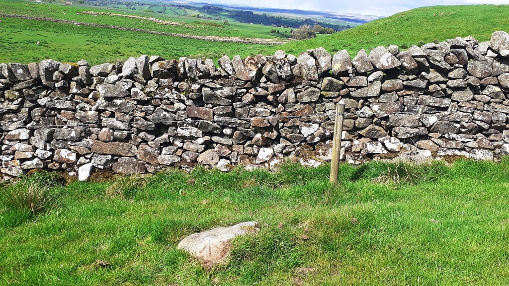 View north towards Low Houses over dry... © Roger Templeman cc-by-sa/2. ...